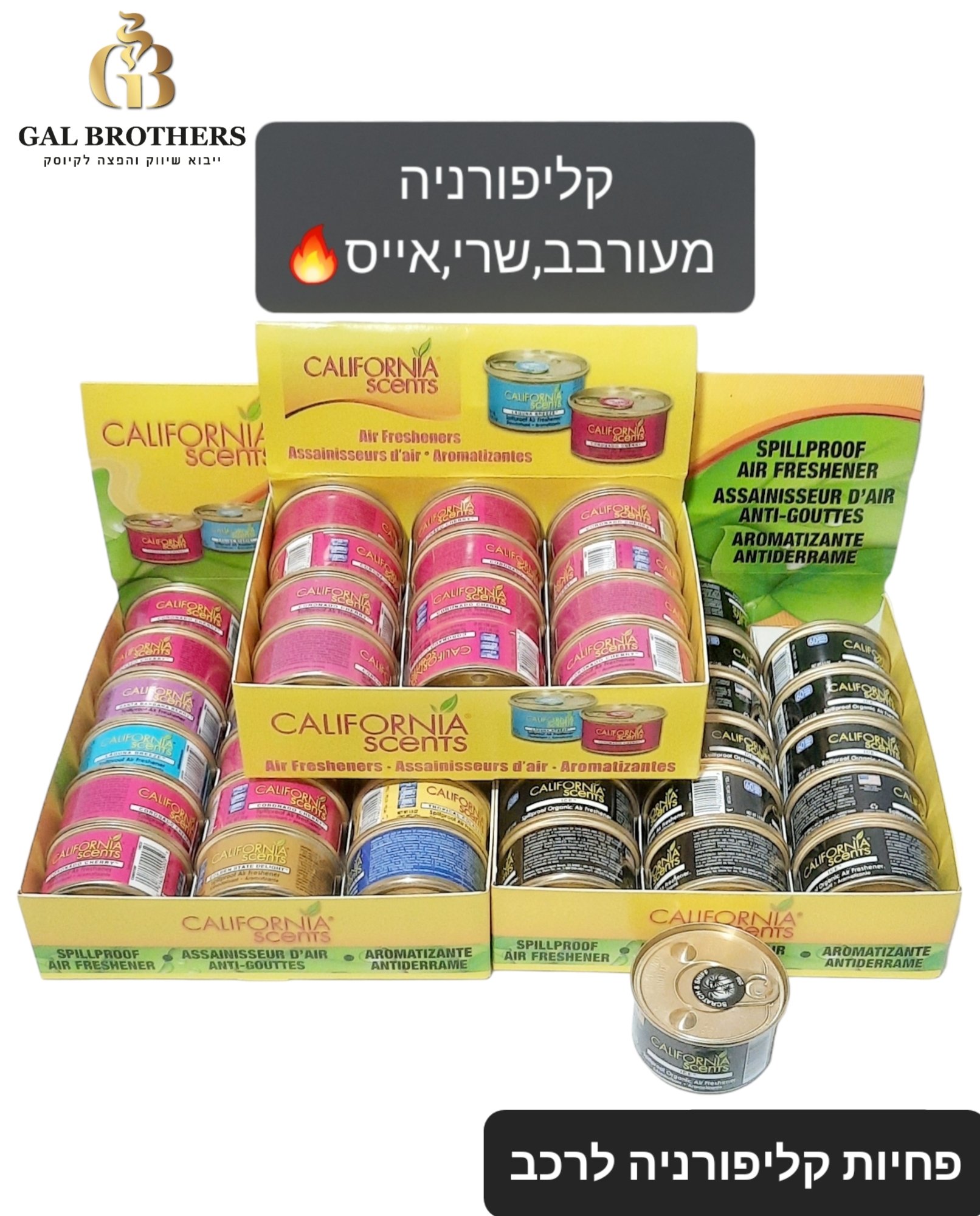 ריחן לרכב קליפורניה 18 יח׳