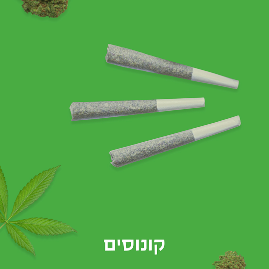 קונוסים